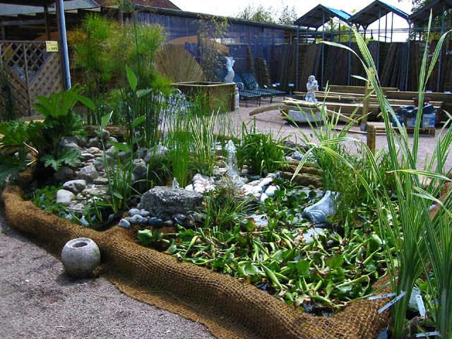 bassin de jardin oasis